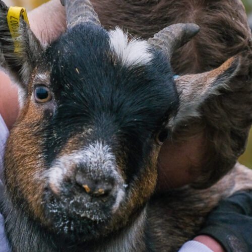 ASD Picture for Website