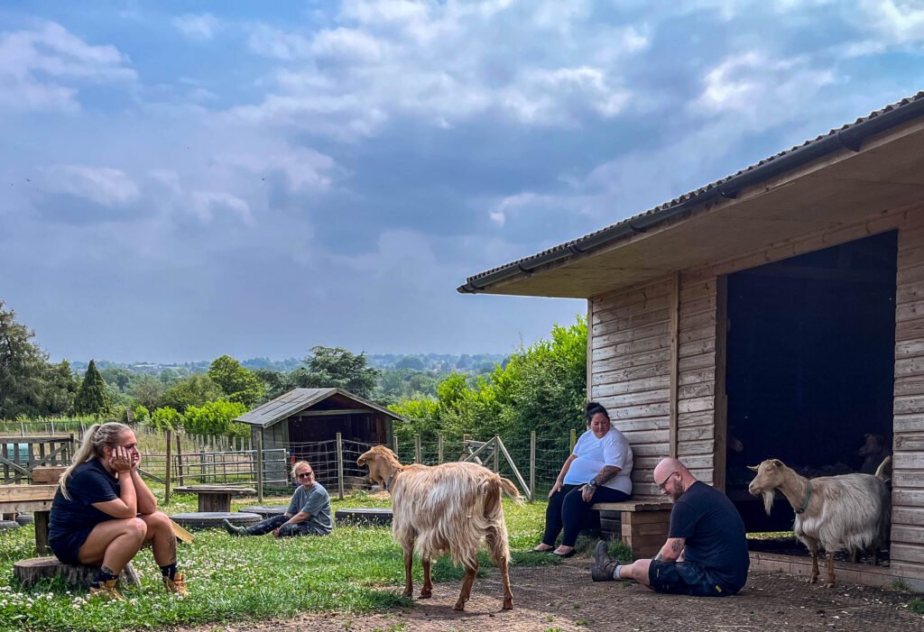 Elysian Training and Development offer on site training in Bristol